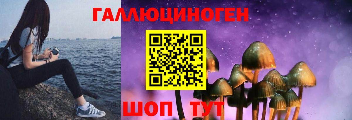 Псилоцибиновые грибы ЛСД  Вход с VPN  Псилоцибиновые грибы MAGIC MUSHROOMS  Карпинск 