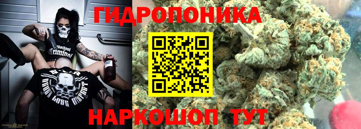 Конопля VHQ  Вход с VPN  Бошки Шишки Bruce Banner  Карпинск  МАРИХУАНА ГИДРОПОН 